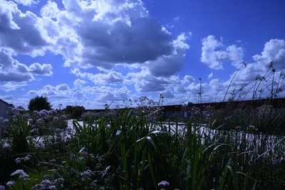 DSC_1688 (Large).JPG